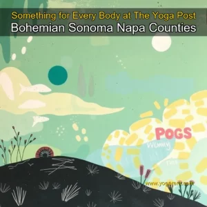 Read more about the article Something for Every Body at The Yoga Post  Bohemian  Sonoma  Napa Counties