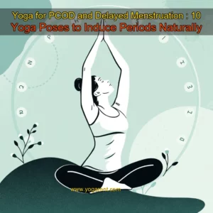 Read more about the article Yoga for PCOD and Delayed Menstruation : 10 Yoga Poses to Induce Periods Naturally