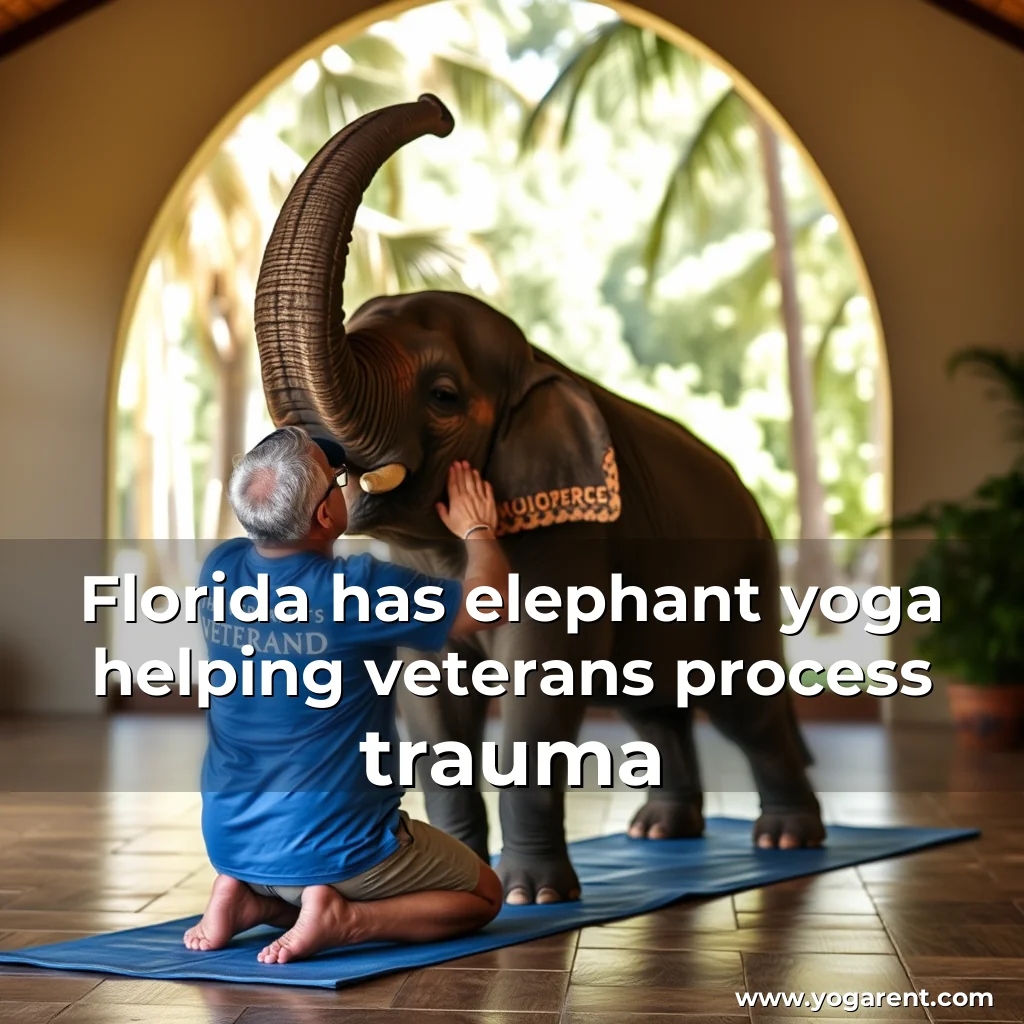 Read more about the article Florida has elephant yoga helping veterans process trauma
